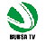 Bursa Tv